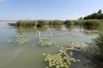 Balaton,Ábrahámhegy,vízparti,ház